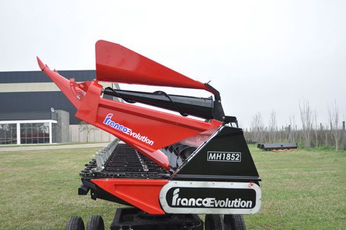 MAICERO FRANCO EVOLUTION