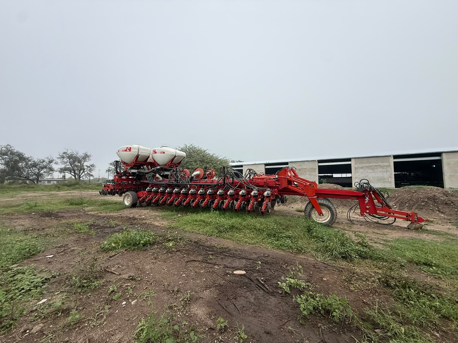 VARIOS CRUCIANELLI PLANTOR 2019